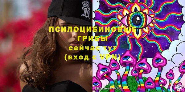 спайс Мегион