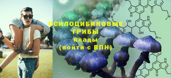 спайс Мегион
