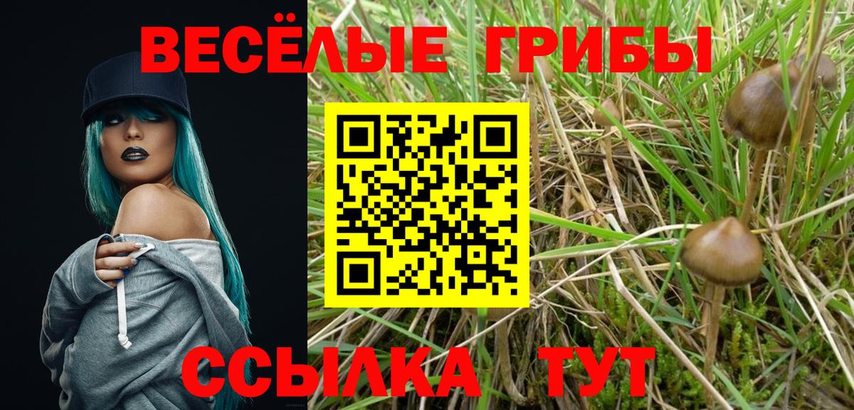 Галлюциногенные грибы Psilocybe  Галлюциногенные грибы Cubensis  Белорецк 