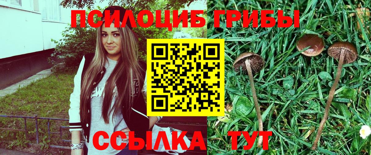 Псилоцибиновые грибы мухоморы Белорецк